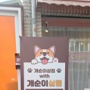 개순이상점 이미지