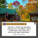 하늘아래편안한집 | [캐나다 여행 찐 후기]&#39;파란여행&#39;의 무스코카+알곤퀸 1일 여행후기(2025.10.12)