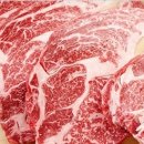 진사 축산 이미지