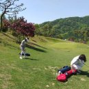 강남골프 이미지