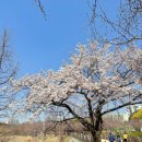 수원-1087 이미지