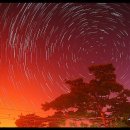 바다와솔숲 이미지