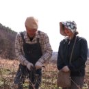 너멍골