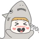 신포집 이미지