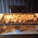 늘푸른유정란농장 이미지