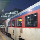 참빛생굴구이 | 경산/ 참빛생굴구이 솔직 후기