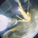 문정힐스동물병원 이미지