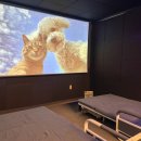 포레스트31 | 서울 파티룸 추천, 포레스트 파티룸 신림점 다녀온 솔직 후기