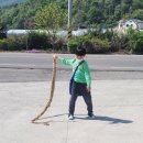 주천초등학교 이미지