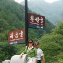 황산초등학교 이미지