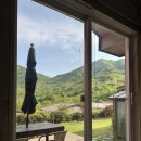 피아골 숲숨집 이미지