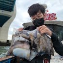 바하호 이미지