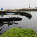 등대와올레길 이미지