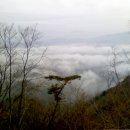 [ 03 - 07 - 124 ] 봉화산 / 검봉