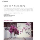 세이컴퍼니 네이버블로그
