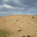 오름이야기 이미지