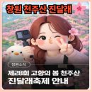 하조대 회전교차로 주변길 | 창원 천주산 진달래축제 동네 현지인 말아주는 주차 근처맛집