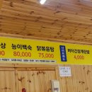 봉즈살롱캠핑 이미지