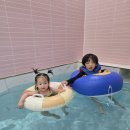 잼잼풀빌라 키즈펜션 | 아이랑 가평 풀빌라 여행｜삐삐키즈펜션 솔직 후기