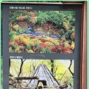 동안사