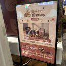 벨라시타약국 이미지