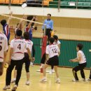 선기로2-10 이미지