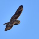 낙동강관리본부 대저생태공원 2 이미지