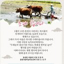 복사꽃수레마을 네이버블로그