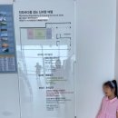 신비의바닷길 특산품 | 입장권 무료 여서 더 좋았던 진도쏠비치 근처 ‘진도 신비의 바닷길 체험관’ 아이랑 가본 후기 ~!