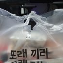 또래오래두정점