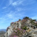 3월 26일.진달래 만발한 아름다운 남해 응봉산,설흘산/ 다랭이 지겟길 트레킹 이미지