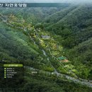 대봉산자연휴양림 이미지