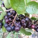 서형수농장 이미지