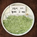 매자리길 | 우리 둥이는 다 계획이 있구나 - 21그램 광주장례식장 후기