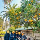 오순희 | 양투어 제주도 패키지 부모님과 다녀온 가성비 제주 가족여행 추천