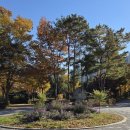 참전비근린공원 이미지