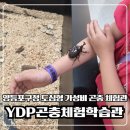 청사휴게점 | 아이랑 가기 좋은 YDP곤충체험학습관 실내 곤충 체험관 후기