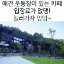 애견 1번지 이미지