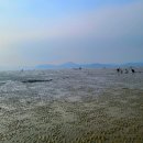 갯벌놀이펜션 이미지