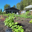 참빌이네 농장 이미지