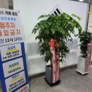 햇살당구장