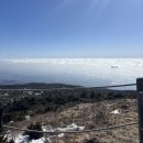 순례자의 섬 게스트하우스 | 제주 한라산 등산코스 초보 성판악 난이도 후기