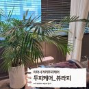 묵은 피로까지 씻어낸 미아사거리두피관리, 성북구 뷰라피의 섬세한 손길에 반하다