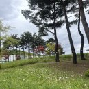 청계산수변공원 | 서울 가볼만한 곳, 데이트 장소 추천 | 청계산 수변 공원