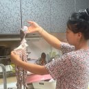 금일읍-3 이미지