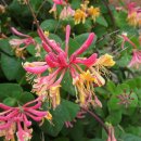 헤이리길 이미지