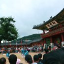 경기도 가을 축제 무료 체험기! 2023 힐링폴링 수원화성 4가지 축제 일정·장소·꿀팁