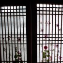 블루문펜션 이미지