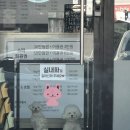 댕댕살롱 이미지