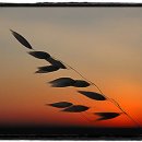 바람의 집 이미지